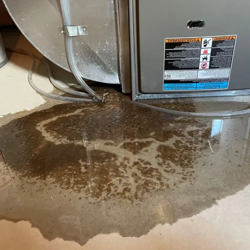 Pipe Burst and Leak Restoration in North Tonawanda, NY