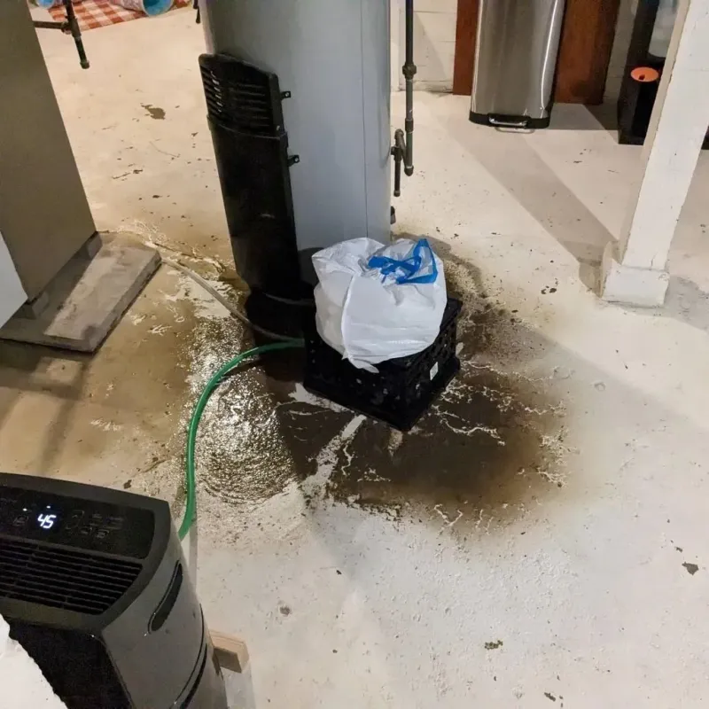 Sewage Backup Cleanup Service in North Tonawanda, NY